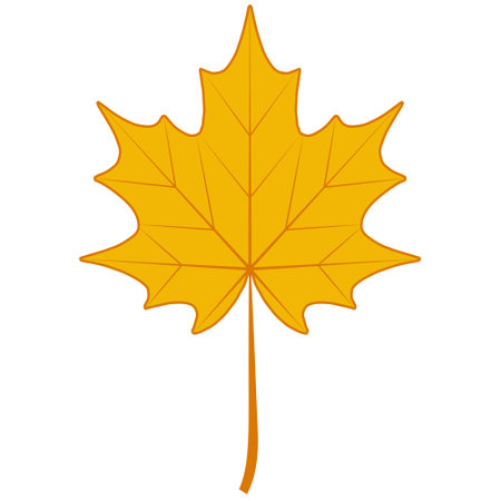 Autumn dry maple leaf, symbol Canada maple autumn fallen leafのイラスト素材