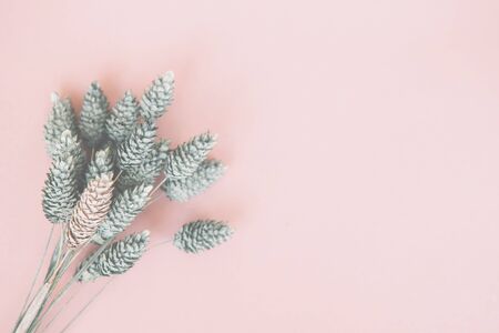 Flowers composition. Frame made of dried flowers on pink background. Flat lay, top view, copy spaceの写真素材