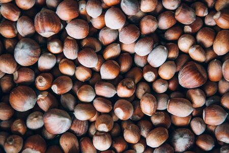 Acorn with chestnut pattern, natural pattern, background, brown organic pattern.