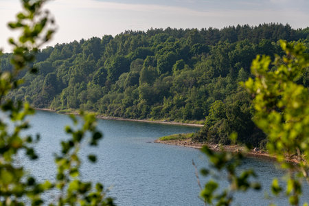 Beautiful summer landscape with lake and forest in the background on a sunny day