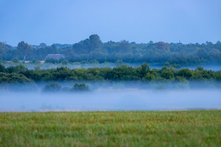Morning fog over the meadow in the summer. Rural landscape.の写真素材