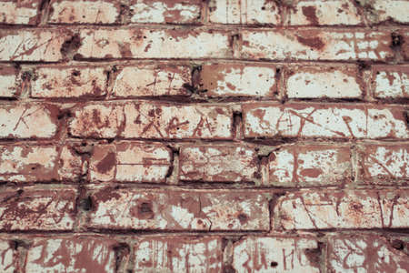 Brick Wallの写真素材