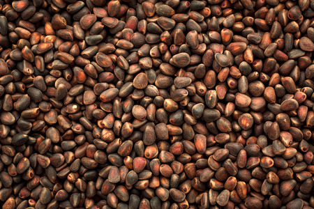 The texture of raw pine nuts and cones closeup.の写真素材