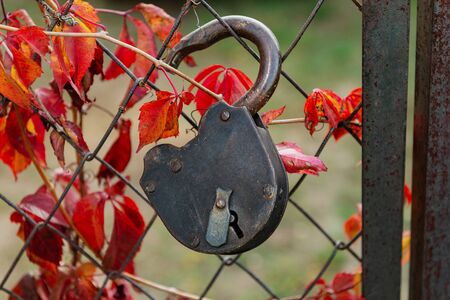 old padlock on a rusty wire mesh gateの写真素材