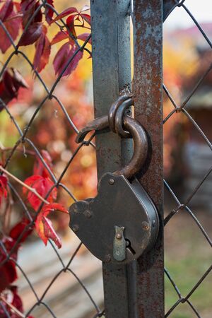 old padlock on a rusty wire mesh gateの写真素材