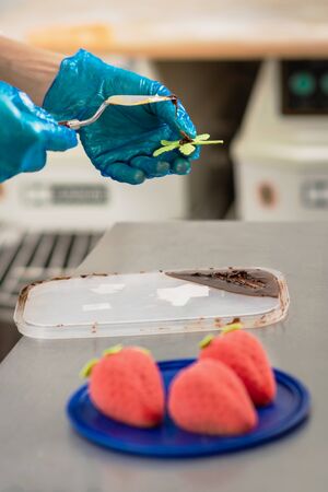 Confectioner makes bright colorful cakes in the shape of fruits and berriesの写真素材