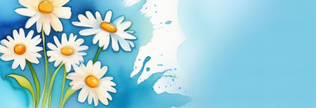 Garden daisy flowers on blue background. Top view with copy spaceの素材