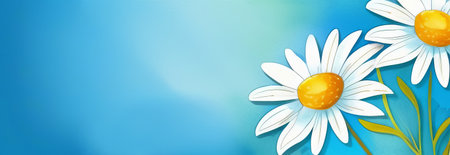 Garden daisy flowers on blue background. Top view with copy spaceの素材