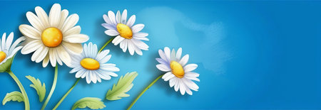 Garden daisy flowers on blue background. Top view with copy spaceの素材