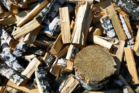 stand in the form of tree stump on background of birch firewood texture for your objects or text. Flat lay.の写真素材