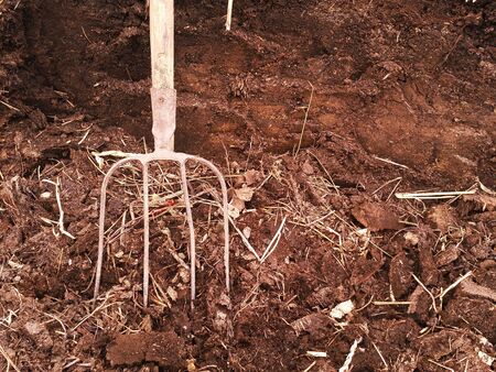 Brown background of a straw dunghill from livestock with the pitchfork on the foregroundの写真素材