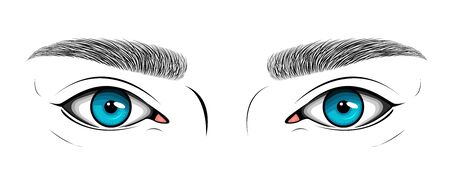 Vector black and white illustration with womans blue eyes and hand drawn brows. Makeup Look for browbar.のイラスト素材