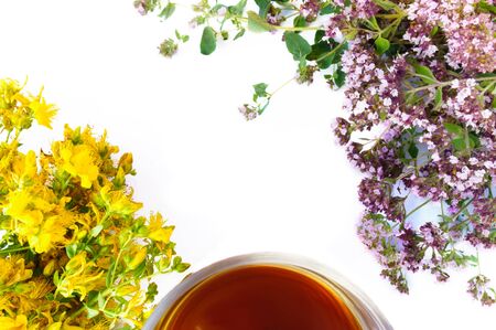 Tea in cup with bunchs of marjoram and hypericum isolated on white backgroundの写真素材
