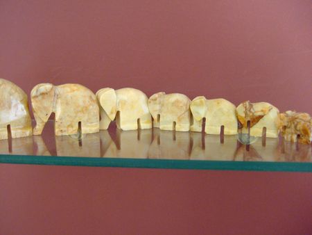 elephants made from bonesの写真素材