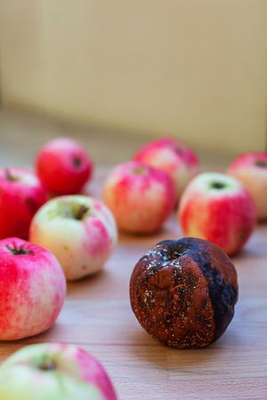 Rotten and fresh apples on a wooden tableの写真素材