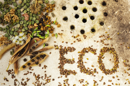 The surface of the old sink with seeds and peas. Text ECO made from seedsの写真素材