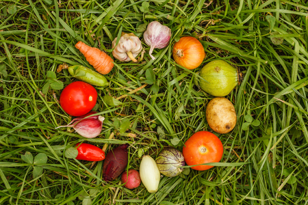 Healthy foods. autumn harvest. raw food for vegetariansの写真素材