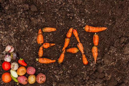 Fresh food for vegetarians. Healthy food. inscription EAT on the background of fresh earth and a group of young vegetablesの写真素材