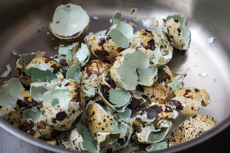 shell of the eggs on the bottom of the pan