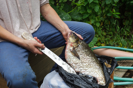 Woman cleans river fish in unsanitary conditionsの写真素材