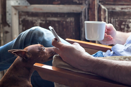A man in a shirt drinks a cup of tea, and his dog invites him to play or go for a walk.の写真素材