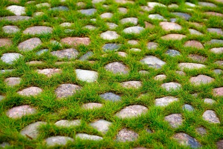 Green grass growing through the stone pavement.の写真素材