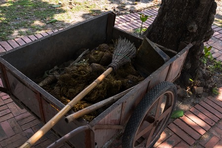 fresh manure on cart. elephant poo on street in Thailandの写真素材