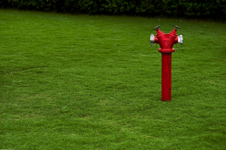 Red fire hydrant on green lawn with copy space at the left side. Concept of safety against fireの写真素材