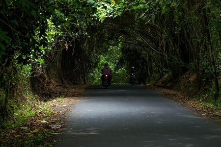 Motorbikers driving on road and forest in Bali. Local life in Indonesiaの写真素材