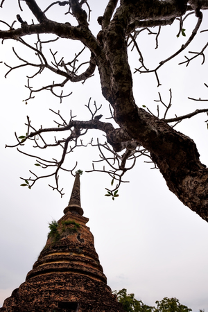 Old pagoda and died tree. Buddhism tower with gray sky on background.の写真素材