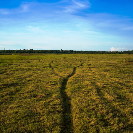 Two paths unite in one on green field. Concept of making choice.の写真素材