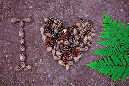 Beautiful pine cones and fern are laid out on the ground. Inscription - I love natureの写真素材