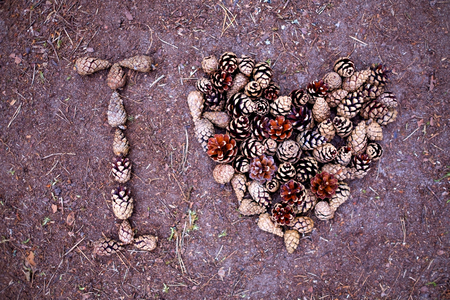 Beautiful pine laid out on the ground. Inscription - I loveの写真素材