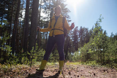 Legs and nordic walking poles in summer nature.の写真素材