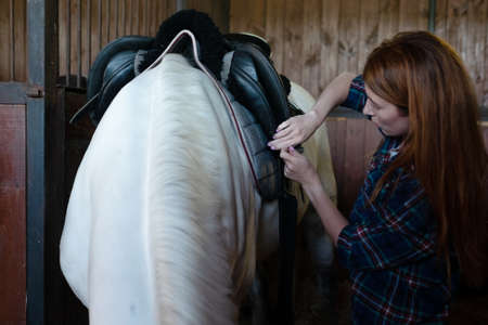 Woman prepare horse for riding, making braid in stableの写真素材