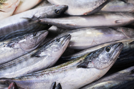 Seafood selling at the fish market in Turkeyeの写真素材