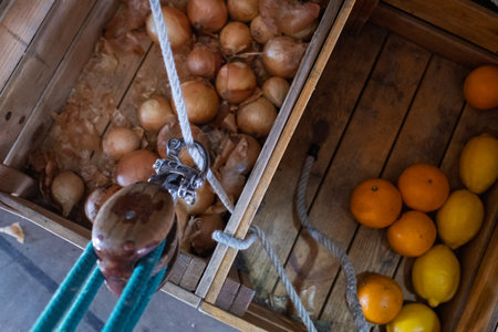 Crates with food on a ship, top view.の写真素材