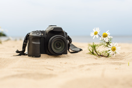 camera lying on the sand on the beach near the waters of the sea, and next growing chamomile flowerの写真素材