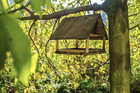 wooden bird feeder hanging on a tree on a background of yellow autumn foliage