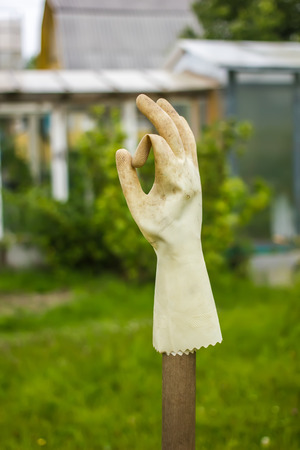 dirty rubber glove drying on a stick in the garden and showing thumbs up sign "ok"の写真素材