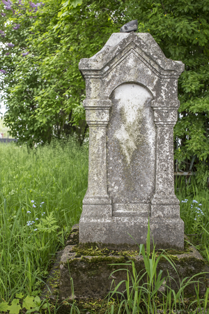 old tombstones in a cemetery among the flowering trees and grass on a sunny summer dayの写真素材