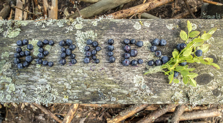 the word berries, written by blueberries on a wooden board covered with lichen in the forest on a...