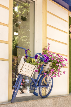 Old painted blue color bicycle with flowers as an ornament, leaning against the house wallの写真素材