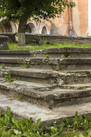 Old stone stairway covered by grass I on a background of an abandoned of the building and greeneryの写真素材