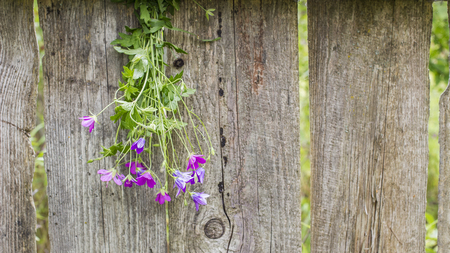 beautiful bouquet of of wildflowers suspended on an old wooden fence in a villageの写真素材