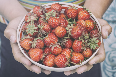 strawberries in the bowl lie in the hands of a childの写真素材