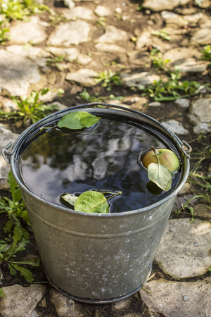 Apple are in a metal bucket with water that stands in old concrete path in a villageの写真素材
