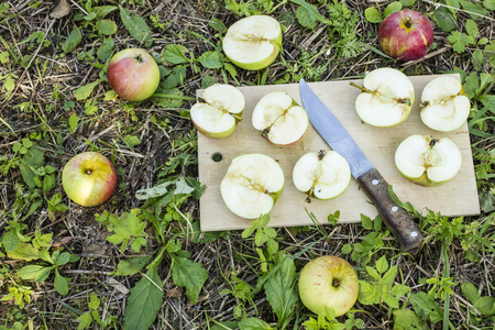 Fresh apples cut on a board with a knife on a green grass in the gardenの写真素材