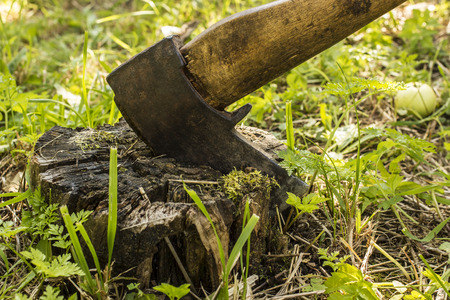Old ax stuck in a moldering tree stump in the gardenの写真素材