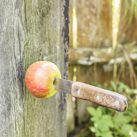 Knife stuck a in a fresh apple and inserted into old log in the garden outdoorsの写真素材